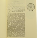 the alchemical (4).JPG