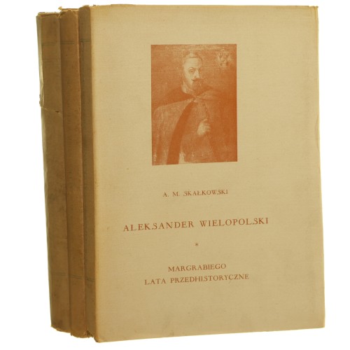 aleksander wielopolski (1).JPG