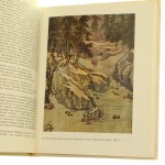 kitajskaja chińska ruska żółta (4).JPG