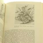 kitajskaja chińska ruska żółta (6).JPG