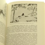 kitajskaja chińska ruska żółta (7).JPG