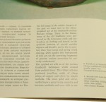 ruska russkoje biała (4).JPG