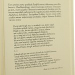 iliada (3).JPG
