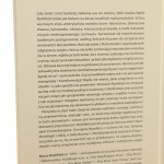 wszystko to zbyt małe (2).JPG