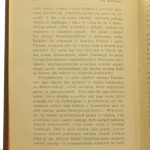 stara panna (4).JPG