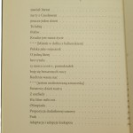 to i owo różewicz (2).JPG