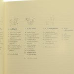 animales (5).JPG