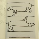 zoo (10).JPG