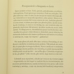 ostatni pasaż (2).JPG