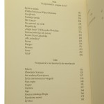 ostatni pasaż (5).JPG