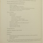 Pałac papieski na watykanie (4).JPG