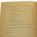 ewangelicka (4).JPG