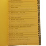 budownictwo (2).JPG