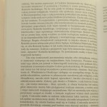 kościół i cerkiew (5).JPG