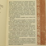 wystroje malarskie (3).JPG