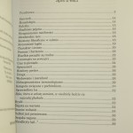 zmierzch (2).JPG