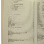 zmierzch (3).JPG