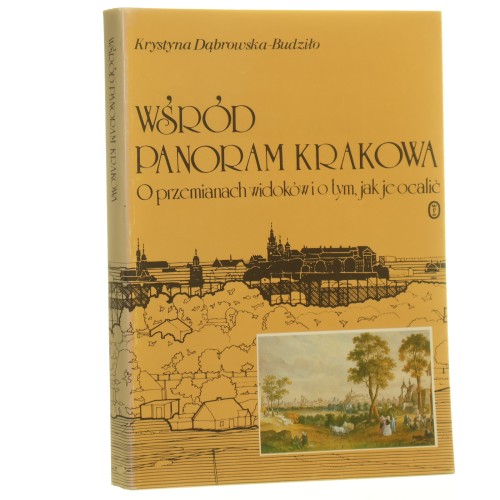 wśród panoram krakowa (1).JPG