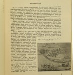 rehabilitacja (5).JPG