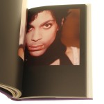 prince (10).JPG