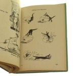 my english book (4).JPG