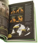 atlas (6).JPG