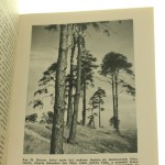 filtry fotograficzne (3).JPG