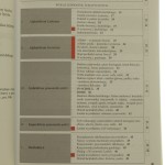 lingua latina (2).JPG