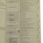lingua latina (8).JPG