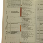 lingua latina (9).JPG