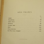 z chłopskiej (5).JPG