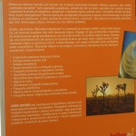 oświetlenie (2).JPG