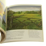 fotografia barwna (3).JPG