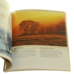 fotografia barwna (4).JPG