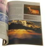 fotografia przyrodnicza (9).JPG