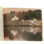 fotografia przyrodnicza (5).JPG