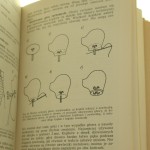 zabawki z tkaniny (9).JPG