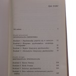 zmierzch (4).JPG