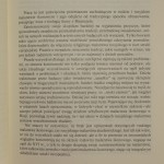 między bizanc (3).JPG