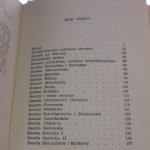 fortyfikacje (2).JPG