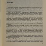 meander na minus 1000 (2).JPG