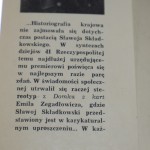 strzępy (2).JPG