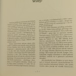 na syberyjskim trakcie (3).JPG