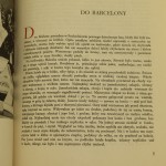 don kichote i niańki (3).JPG