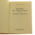 histoire du surrealisme (3).JPG