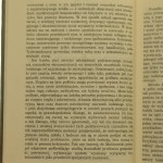 argonauci (4).JPG