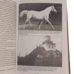 szkice do portretu ziemian polskich (3).JPG