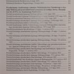 wolnomularstwo narodowe (4).JPG