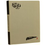 Miasto nieujarzmione (1).JPG