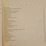 Cyganie na polskich drogach (4).JPG